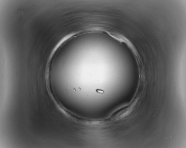 X0000086251149200704121947