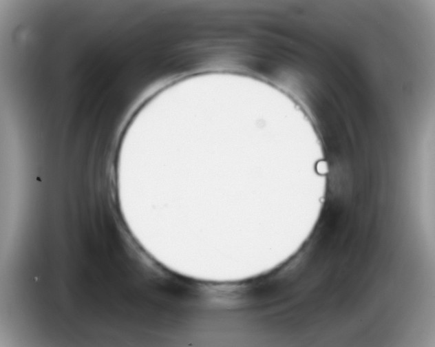 X0000086251150200704121947