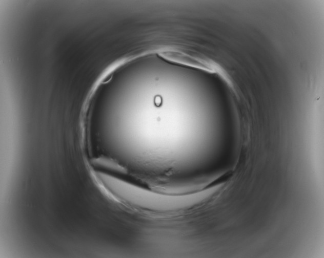 X0000086251151200704121947