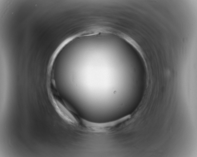 X0000086251152200704121947