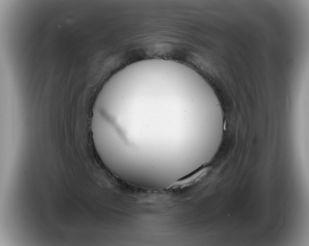 X0000086251153200704121947