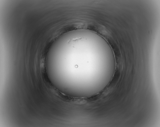 X0000086251154200704121947