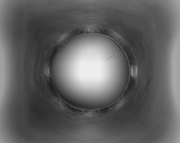X0000086251155200704121947
