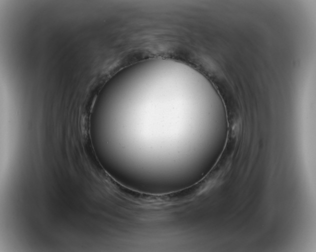 X0000086251156200704121946