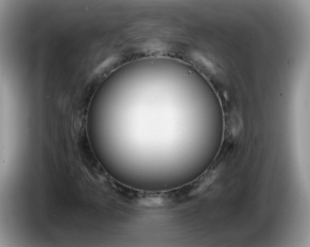 X0000086251157200704121946