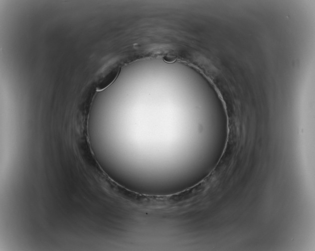 X0000086251158200704121946