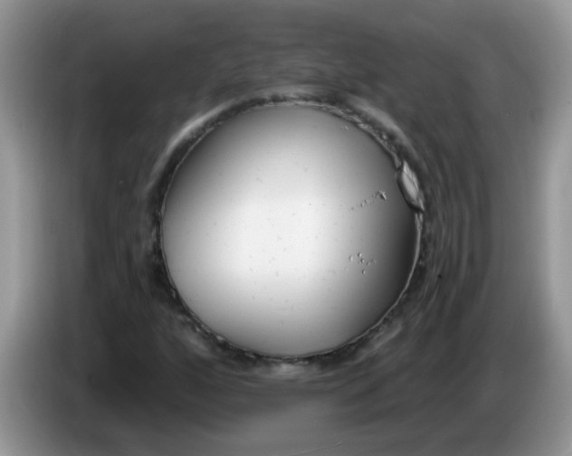 X0000086251160200704121946
