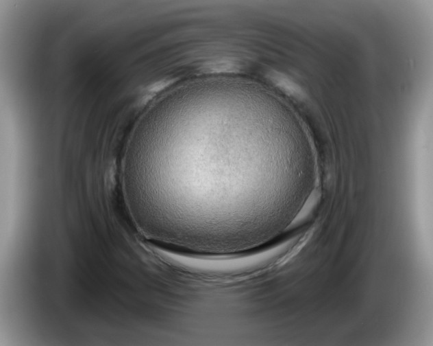 X0000086251161200704121946