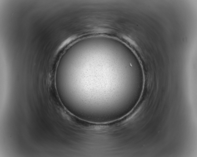 X0000086251163200704121946