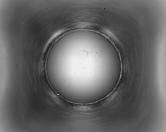 X0000086251164200704121946