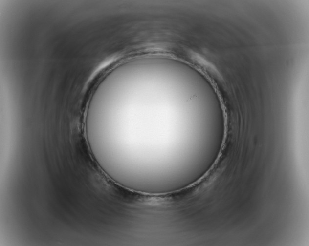 X0000086251166200704121946