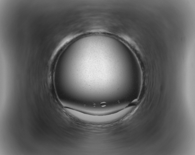 X0000086251167200704121946
