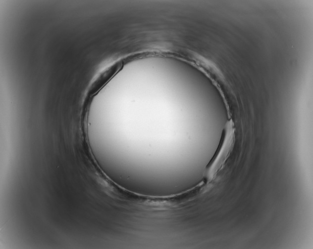 X0000086251168200704121946
