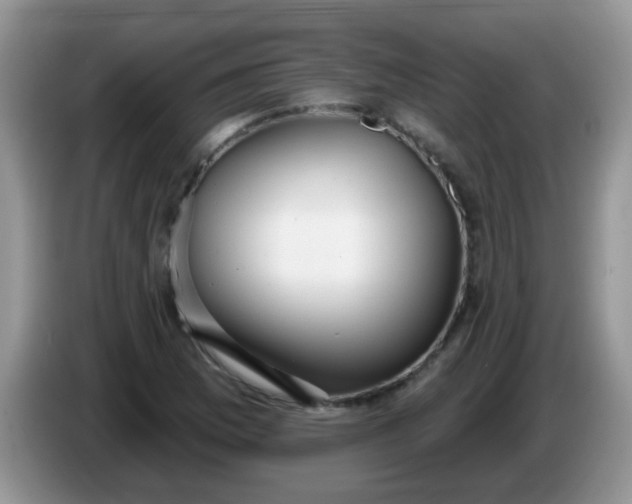 X0000086251169200704121946