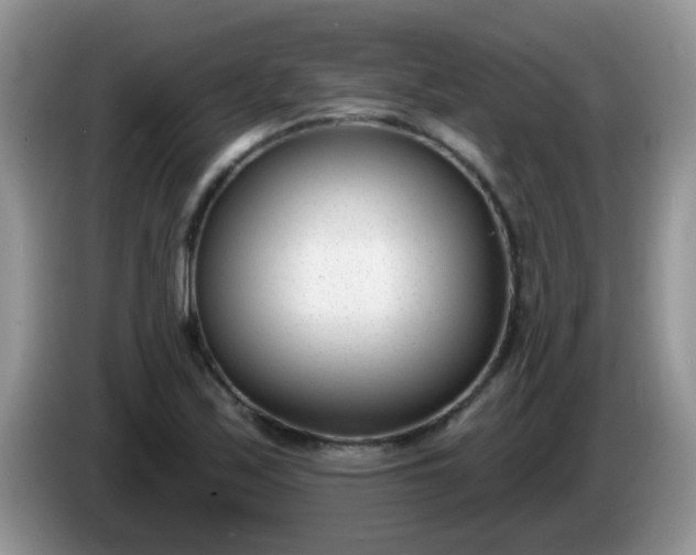 X0000086251171200704121946