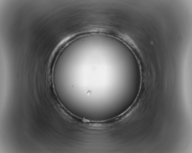 X0000086251172200704121946