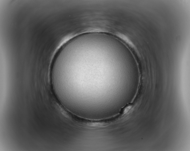 X0000086251173200704121946