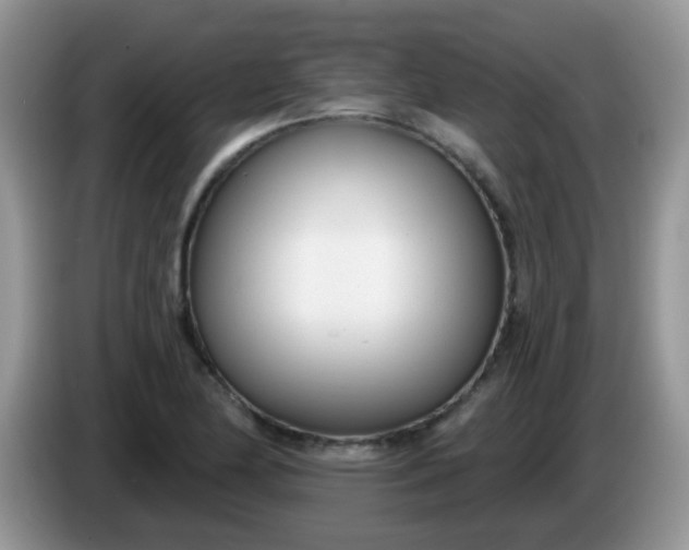 X0000086251174200704121946