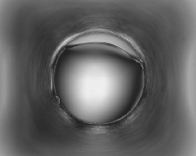 X0000086251175200704121946