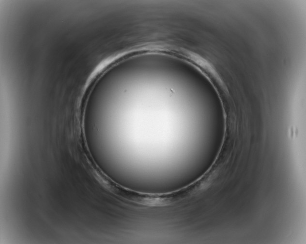 X0000086251176200704121946