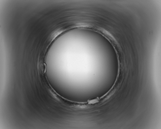 X0000086251177200704121946