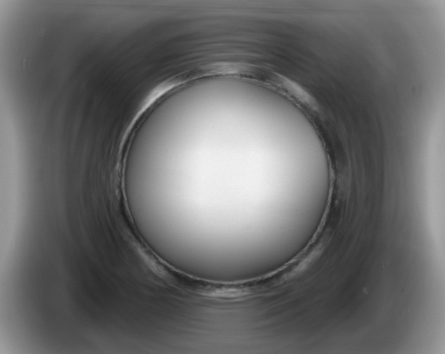 X0000086251178200704121946