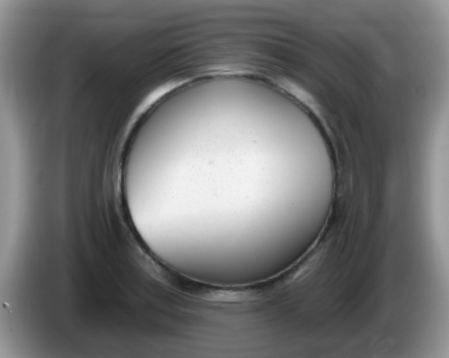 X0000086251179200704121946