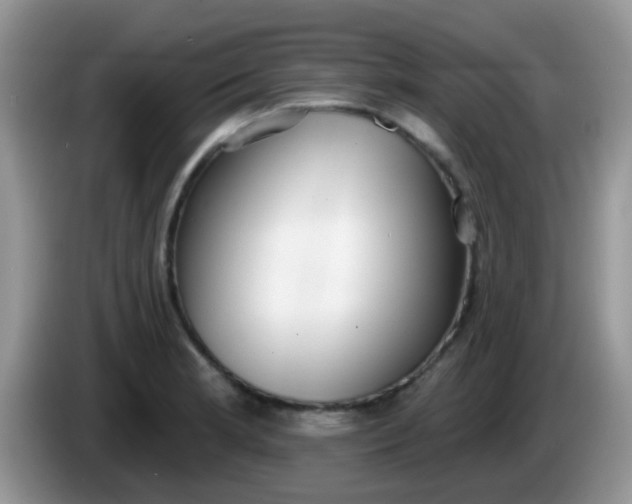 X0000086251181200704121946