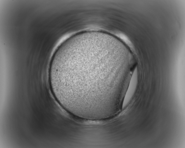 X0000086251183200704121946