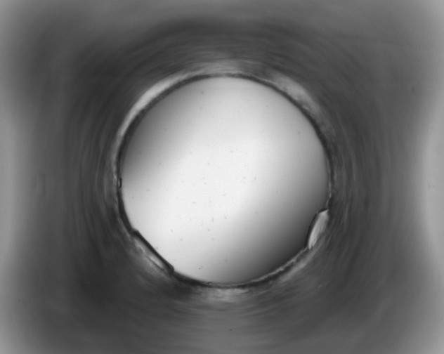X0000086251184200704121946