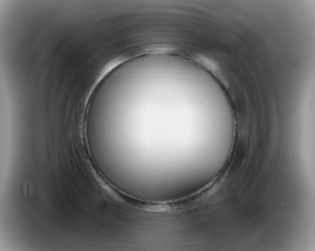 X0000086251186200704121946