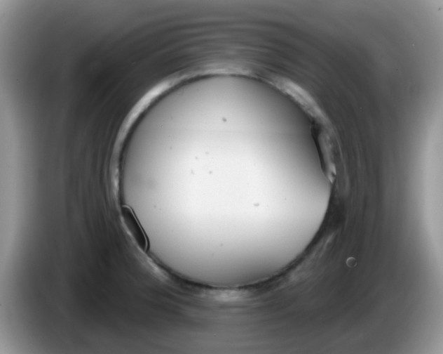 X0000086251188200704121946