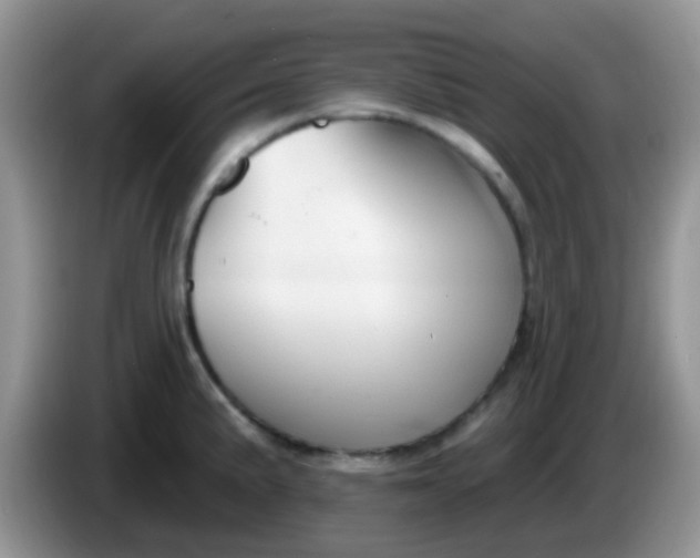 X0000086251191200704121946