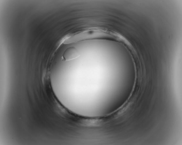 X0000086251193200704121946