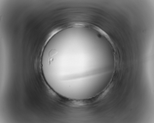 X0000086251194200704121946