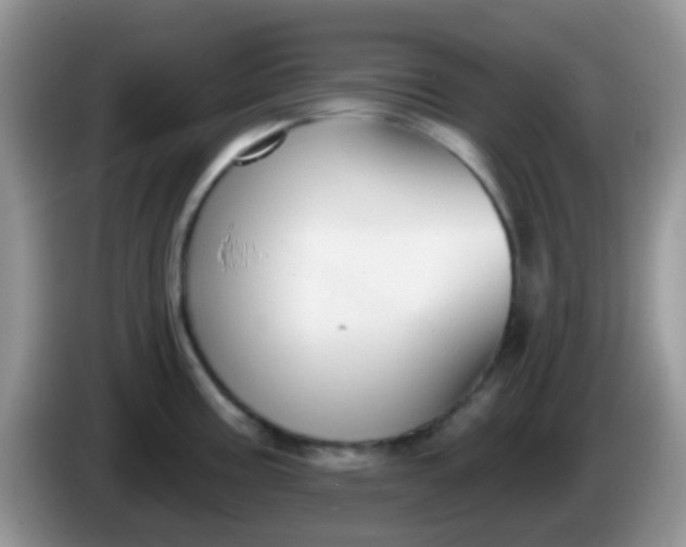 X0000086251195200704121946