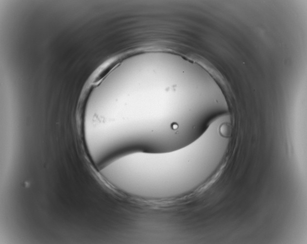 X0000086251196200704121946