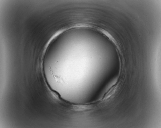 X0000086251197200704121946