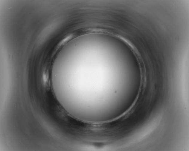 X0000086251198200704121946