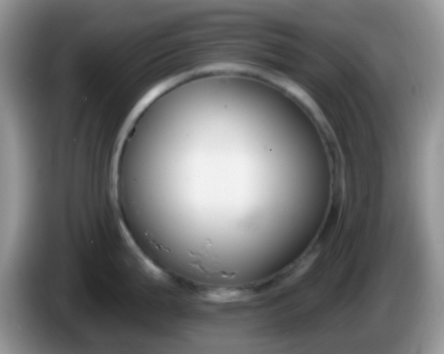 X0000086251199200704121946