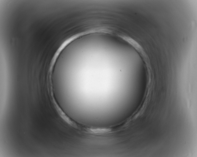 X0000086251200200704121946