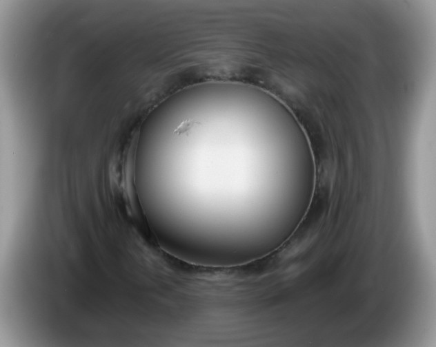 X0000086251202200704121945