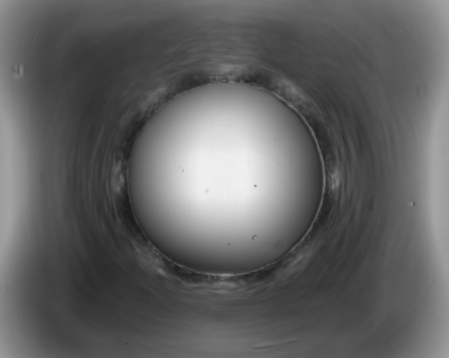 X0000086251204200704121945
