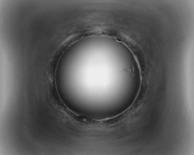 X0000086251206200704121945