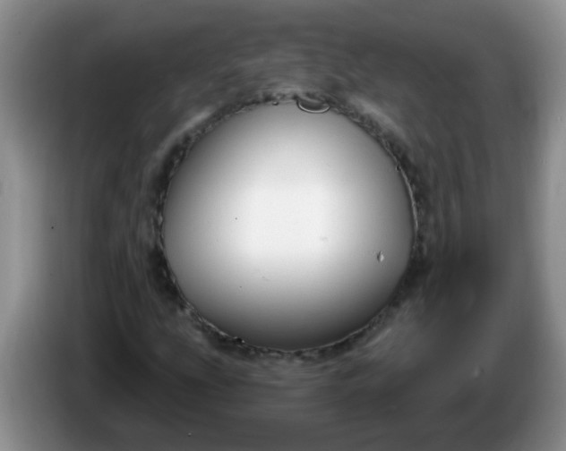 X0000086251207200704121945