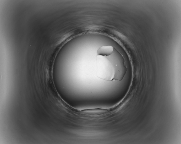X0000086251209200704121945