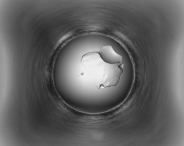X0000086251210200704121945