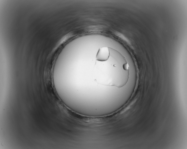 X0000086251211200704121945