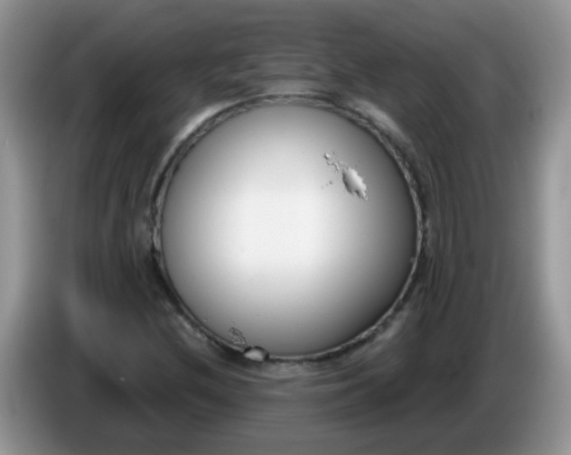 X0000086251212200704121945