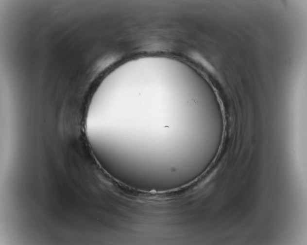 X0000086251213200704121945